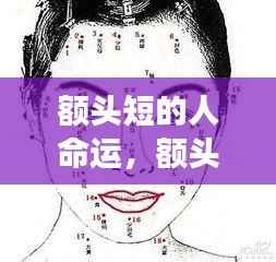 额头短的人命运解析,面相与命运之间的神秘联系揭秘
