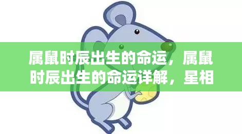 属鼠出生时辰与命运详解,星相揭示未来轮廓