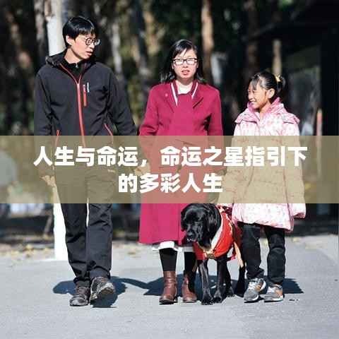 命运之星指引下的绚烂人生,探索命运与人生的多彩交织