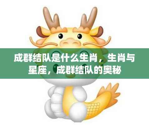 生肖与星座揭秘,成群结队背后的生肖奥秘
