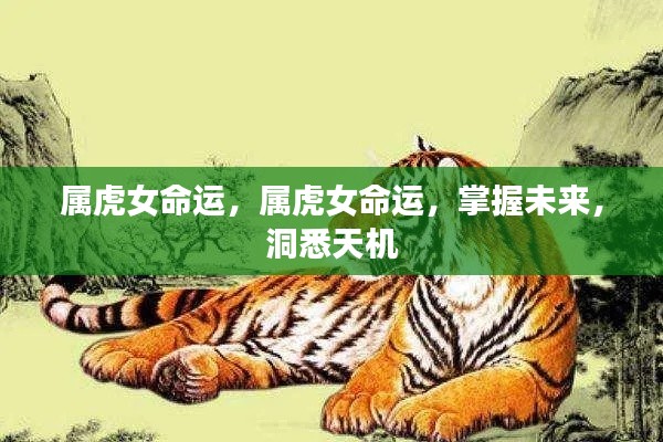 属虎女的命运探索,洞悉未来,掌握天机之路