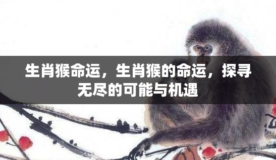 林下风范 第5页