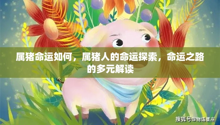 属猪人的命运探索,多元解读命运之路的奥秘