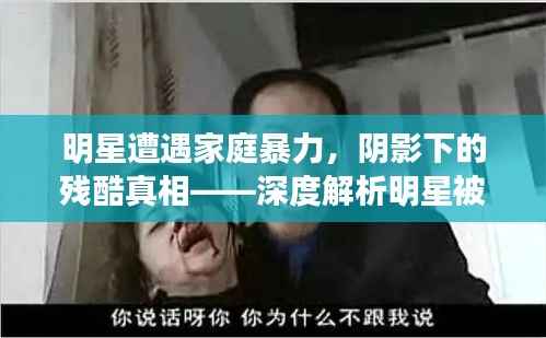 明星遭遇家庭暴力,阴影下的残酷真相——深度解析明星被父虐待事件