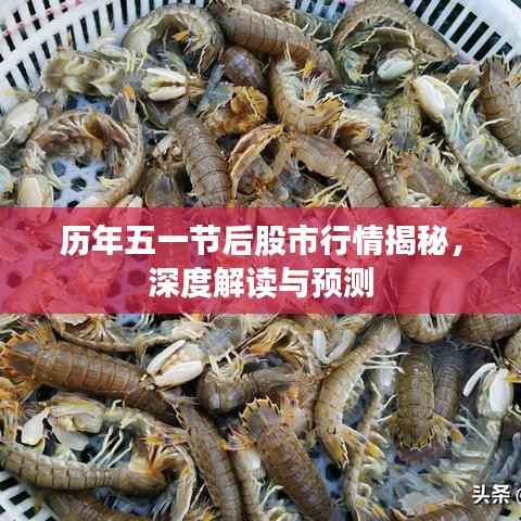 历年五一节后股市行情揭秘,深度解读与预测