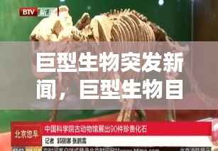 巨型生物突发新闻,巨型生物目击视频