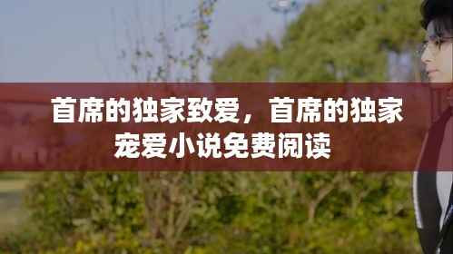 首席的独家致爱,首席的独家宠爱小说免费阅读