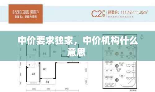 中价要求独家,中价机构什么意思