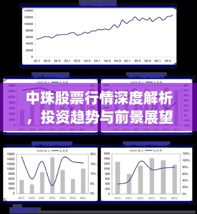 中珠股票行情深度解析,投资趋势与前景展望
