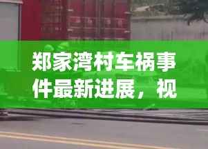郑家湾村车祸事件最新进展,视频报道揭示现场情况