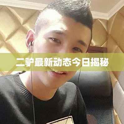 二驴最新动态今日揭秘