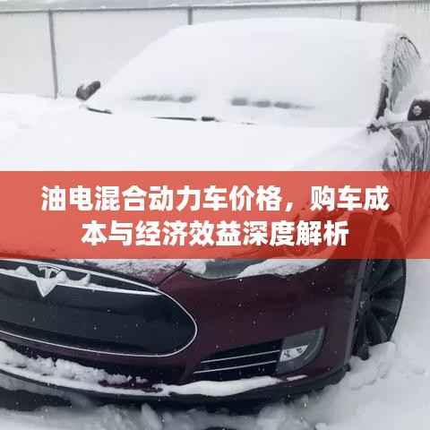 油电混合动力车价格,购车成本与经济效益深度解析
