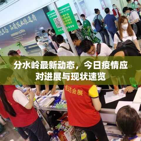分水岭最新动态,今日疫情应对进展与现状速览
