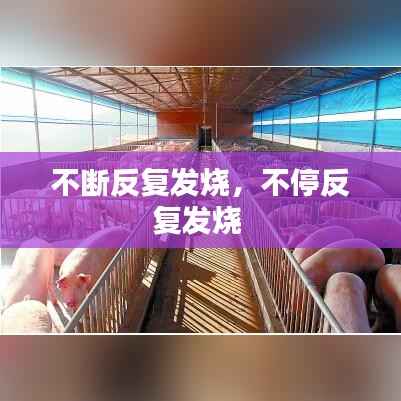 不断反复发烧,不停反复发烧