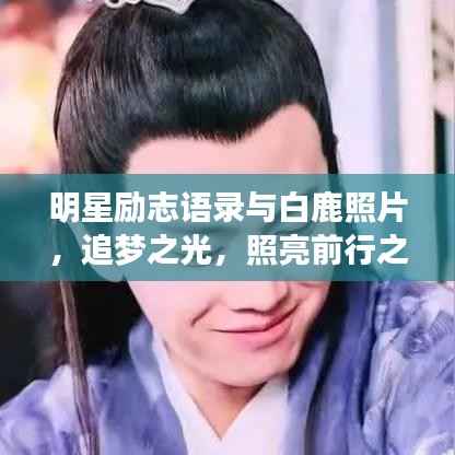 明星励志语录与白鹿照片,追梦之光,照亮前行之路的璀璨星辰