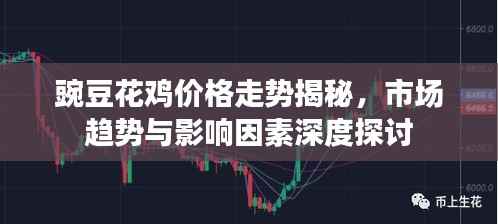 豌豆花鸡价格走势揭秘,市场趋势与影响因素深度探讨
