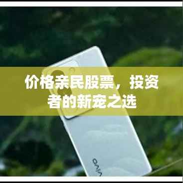 价格亲民股票,投资者的新宠之选