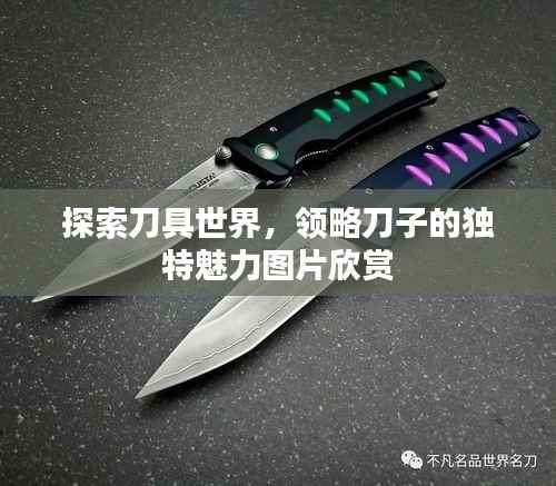 探索刀具世界,领略刀子的独特魅力图片欣赏