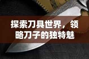 探索刀具世界,领略刀子的独特魅力图片欣赏