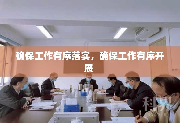 确保工作有序落实,确保工作有序开展