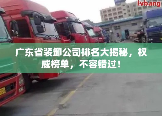 广东省装卸公司排名大揭秘,权威榜单,不容错过!