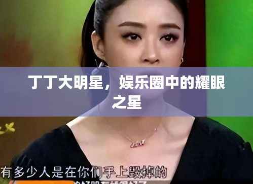 丁丁大明星,娱乐圈中的耀眼之星