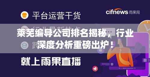 莱芜编导公司排名揭秘,行业深度分析重磅出炉!