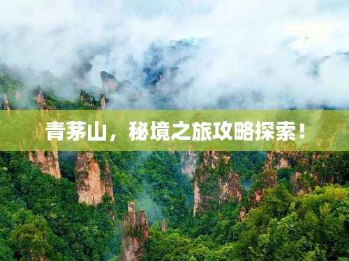青茅山,秘境之旅攻略探索!