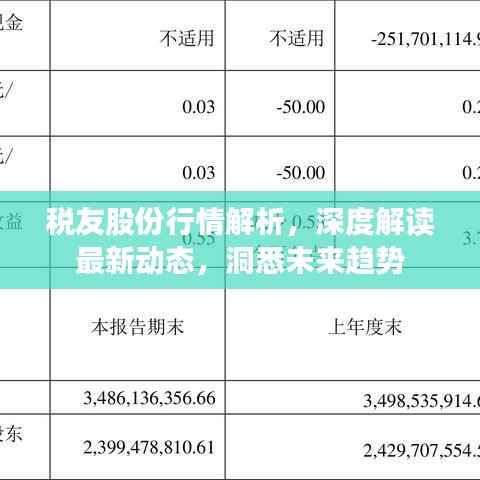 税友股份行情解析,深度解读最新动态,洞悉未来趋势
