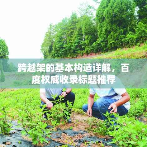 跨越架的基本构造详解,百度权威收录标题推荐