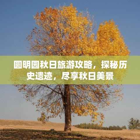 圆明园秋日旅游攻略,探秘历史遗迹,尽享秋日美景