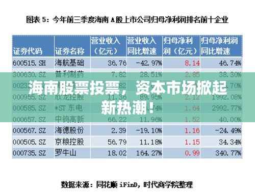 海南股票投票,资本市场掀起新热潮!
