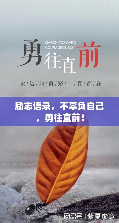 励志语录,不辜负自己,勇往直前!