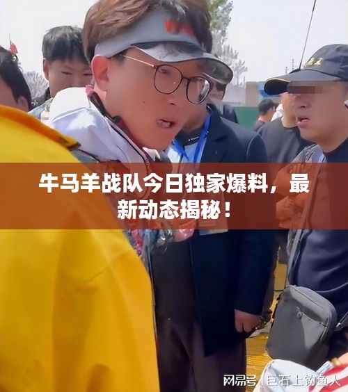 牛马羊战队今日独家爆料,最新动态揭秘!