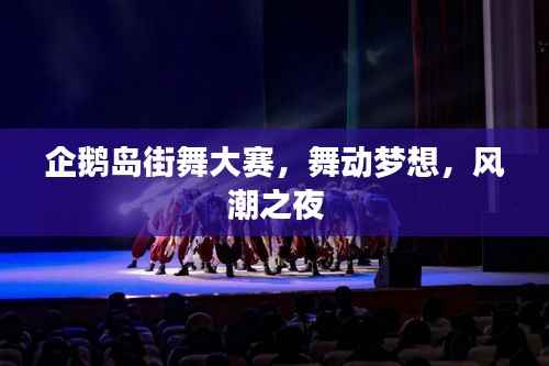 企鹅岛街舞大赛,舞动梦想,风潮之夜