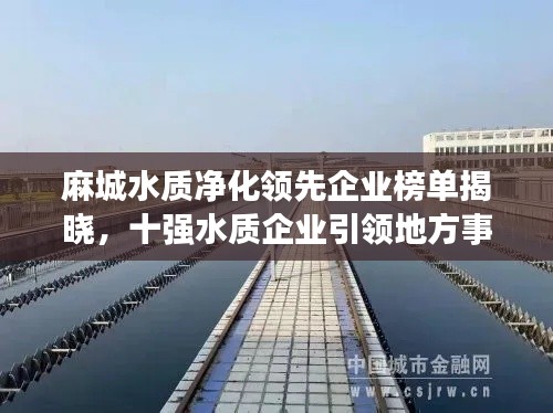 麻城水质净化领先企业榜单揭晓,十强水质企业引领地方事业新篇章