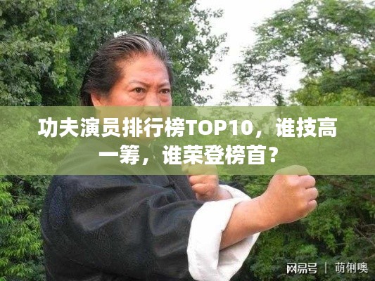 功夫演员排行榜TOP10,谁技高一筹,谁荣登榜首?