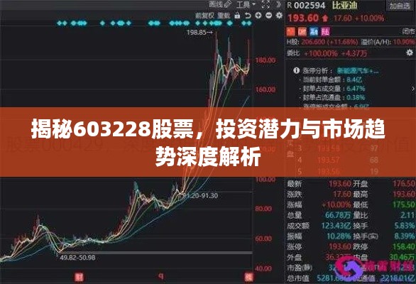 揭秘603228股票,投资潜力与市场趋势深度解析