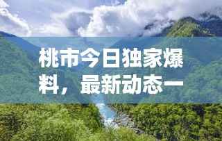 桃市今日独家爆料,最新动态一网打尽!