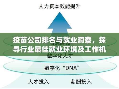 疫苗公司排名与就业洞察,探寻行业最佳就业环境及工作机会!