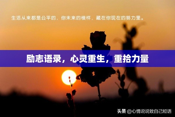励志语录,心灵重生,重拾力量