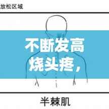 不断发高烧头疼,一直发高烧头痛什么原因