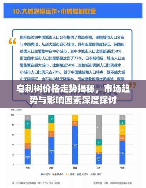 皂刺树价格走势揭秘,市场趋势与影响因素深度探讨