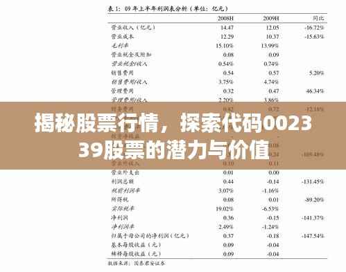 揭秘股票行情,探索代码002339股票的潜力与价值