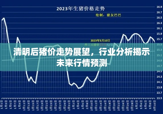 清明后猪价走势展望,行业分析揭示未来行情预测