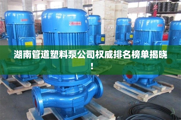 湖南管道塑料泵公司权威排名榜单揭晓!