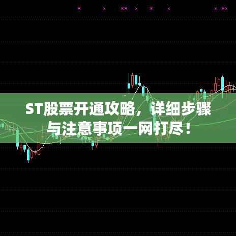 ST股票开通攻略,详细步骤与注意事项一网打尽!