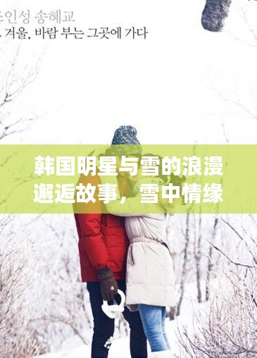 韩国明星与雪的浪漫邂逅故事,雪中情缘揭秘!