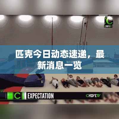 匹克今日动态速递,最新消息一览