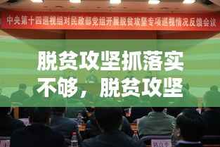 脱贫攻坚抓落实不够,脱贫攻坚 不足